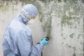 Forensic Mold Investigation in Waterloo, IA